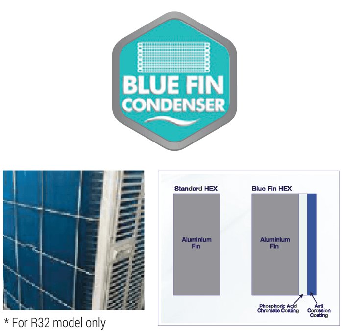 bluefin _1_